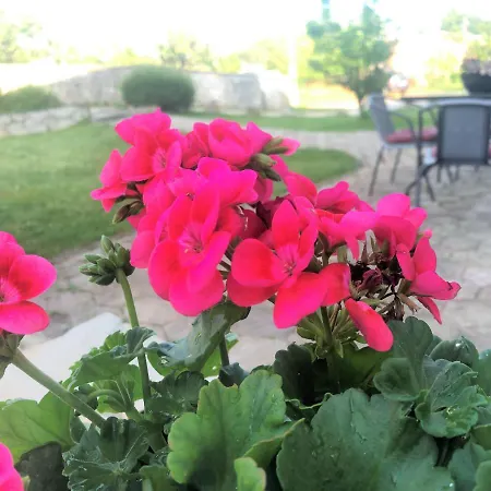 Lory A Three Bedroom With A Bbq