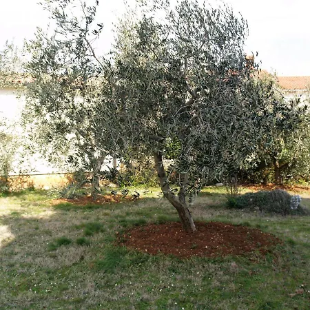 Lory A Three Bedroom With A Bbq * Divšići