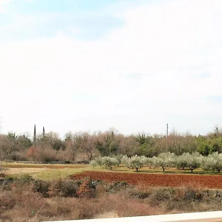 Lory A Three Bedroom With A Bbq *