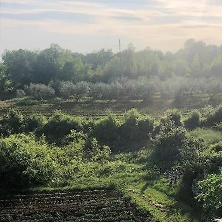 Apartamento Lory A Three Bedroom With A Bbq *