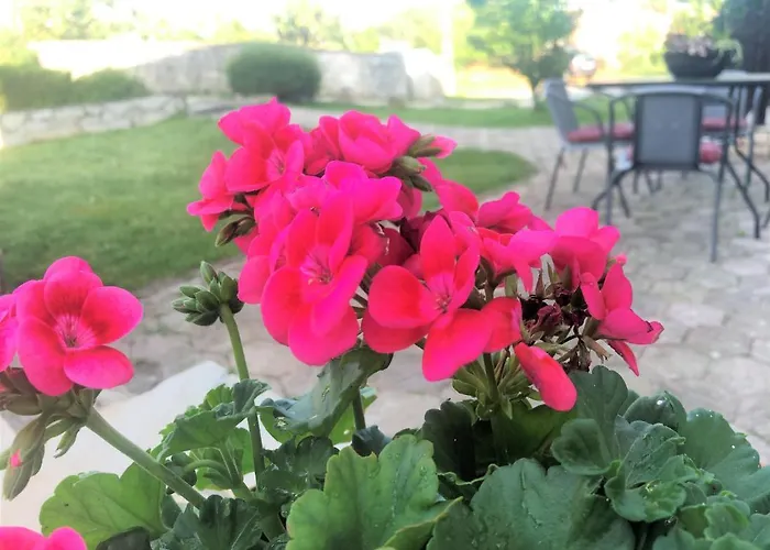 Lory A Three Bedroom With A Bbq