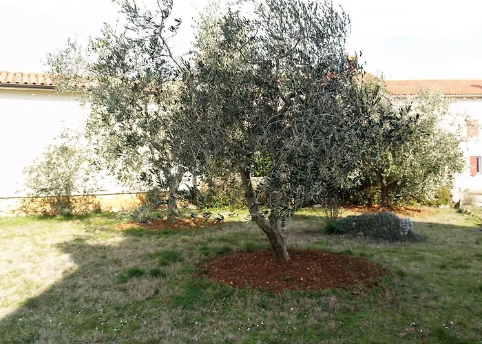 Lory A Three Bedroom With A Bbq * Divsici