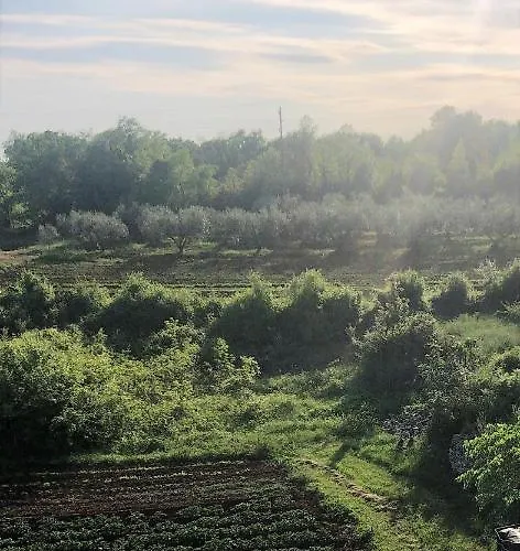 Apartman Lory A Three Bedroom With A Bbq *